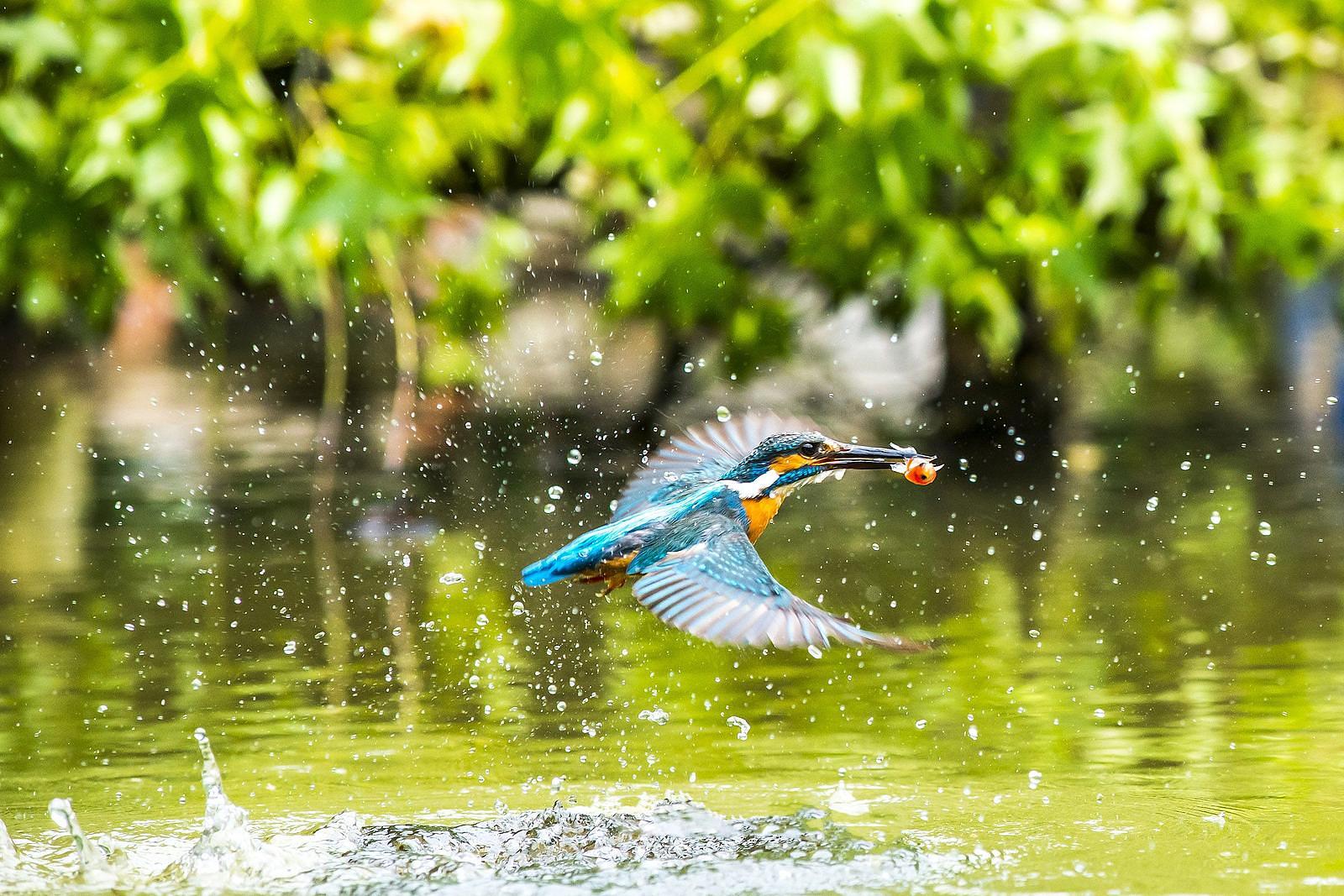 Rien van den Broeke Village