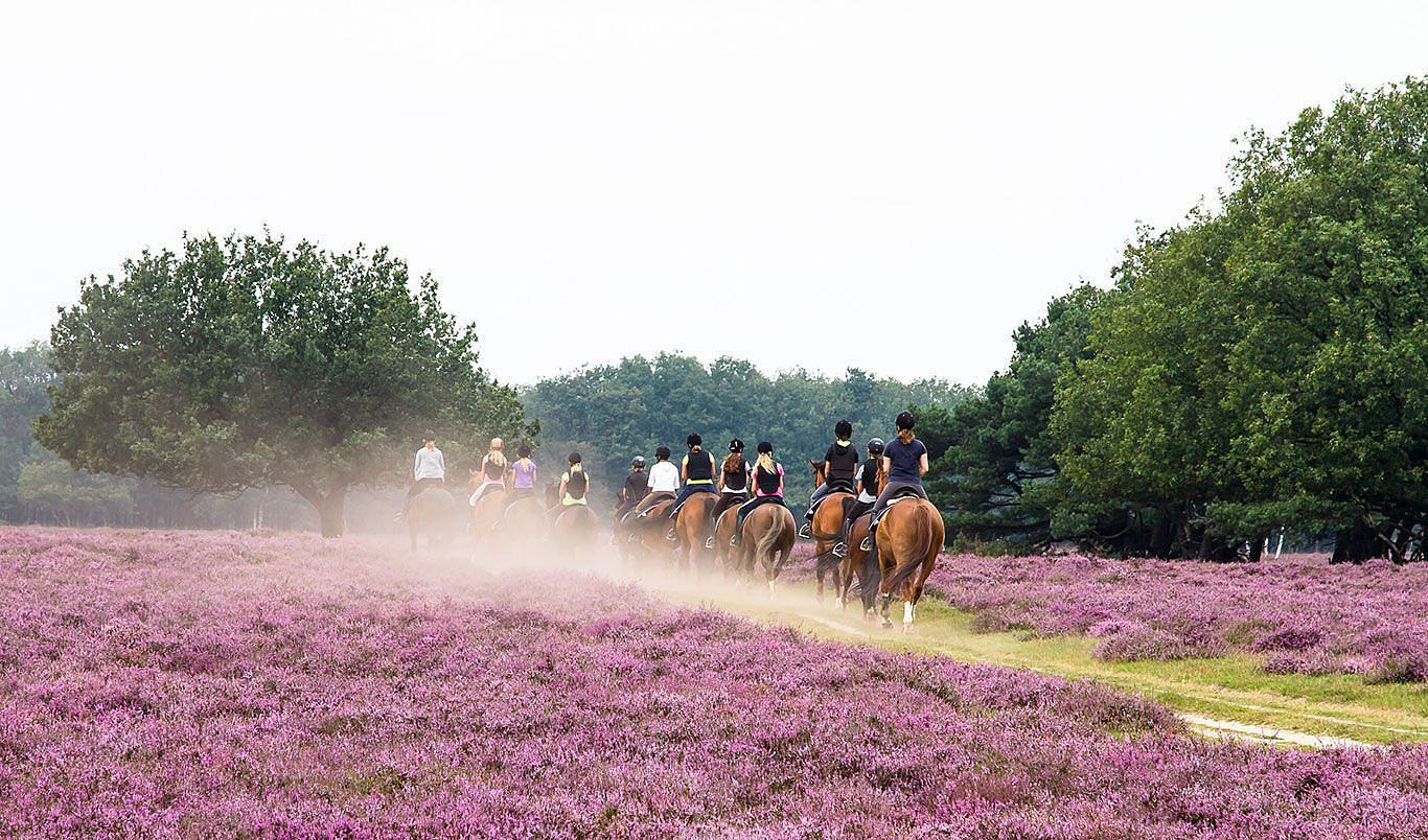 Paardrijden bij Hilversum 