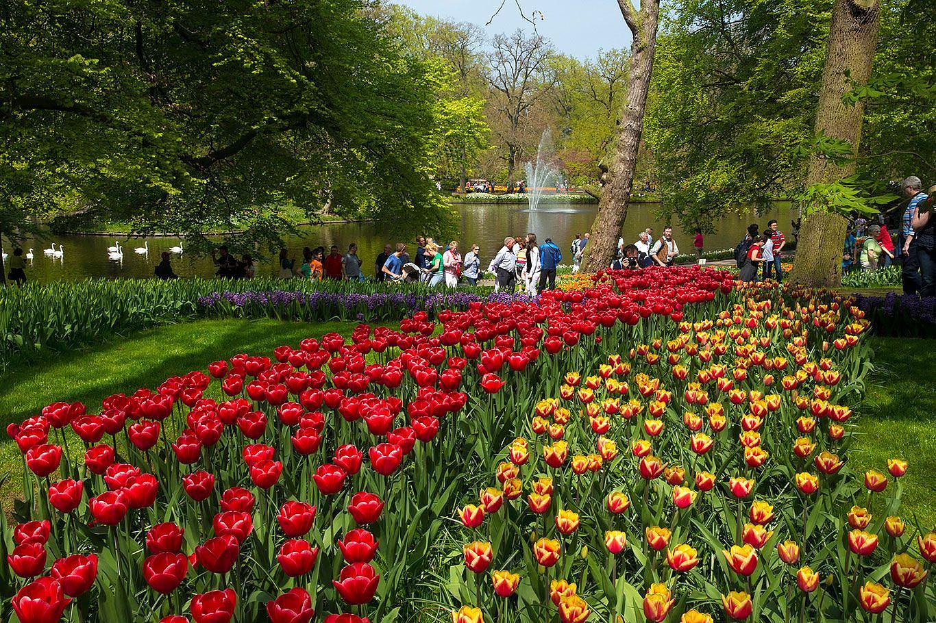 Keukenhof dichtbij Rien van den Broeke Village Loosdrecht