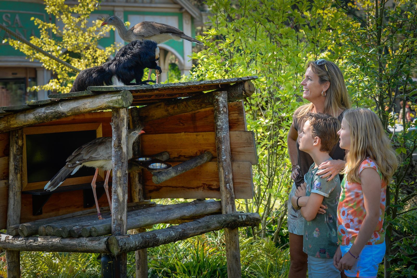 Avifauna, Alphen aan den Rijn