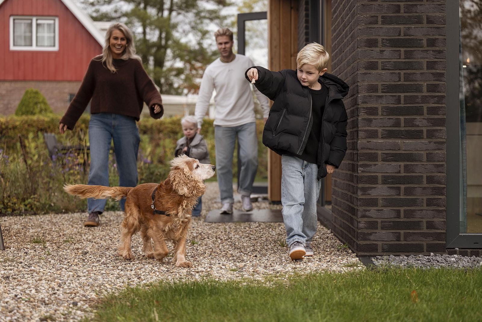 Diervriendelijke Parklodge 4-persoons