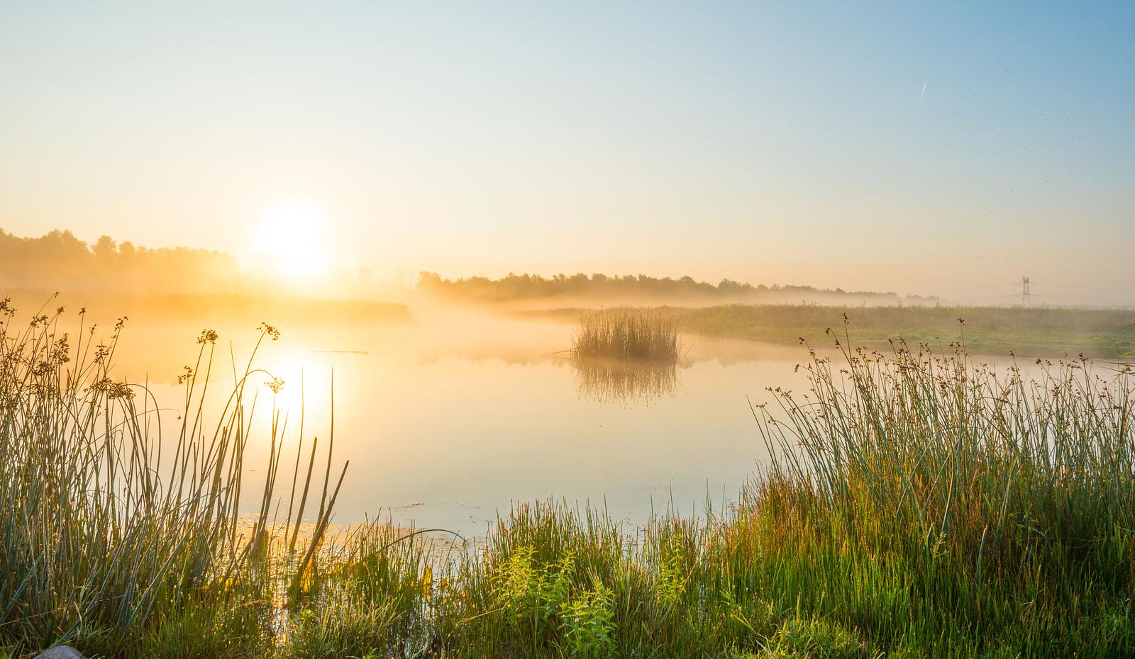 Natuur