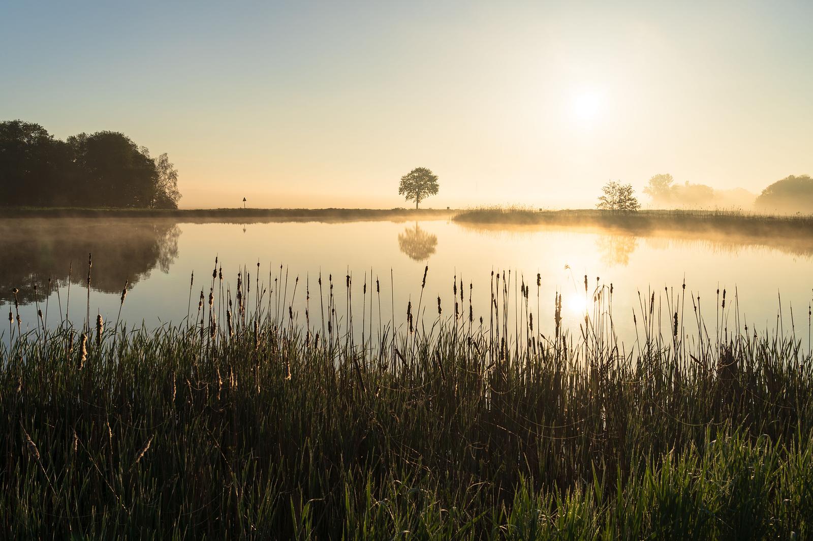 Natuurhuisje