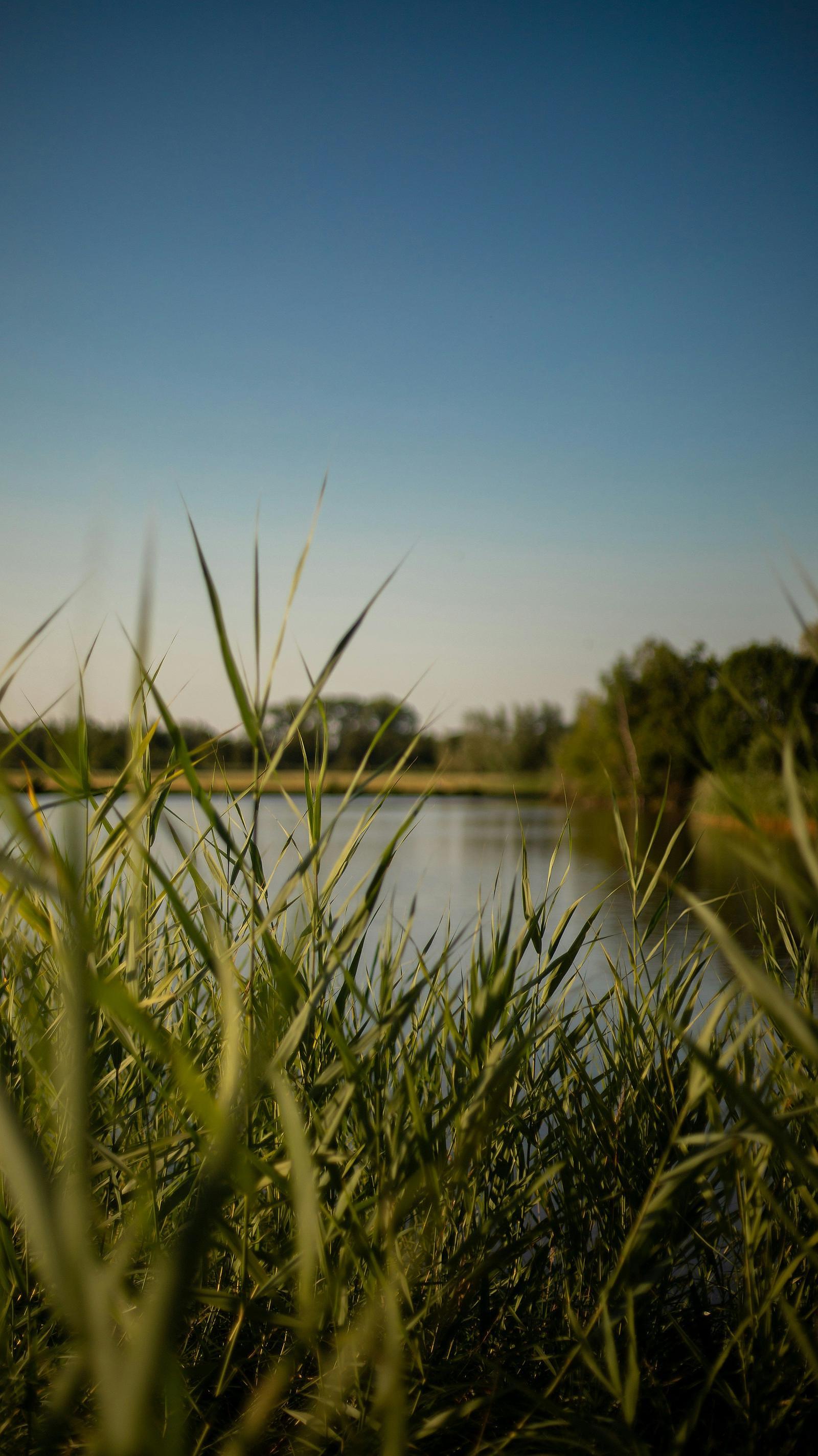 Lodges aan de Vecht