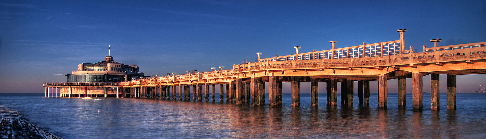 Bedrijven en Organisaties
