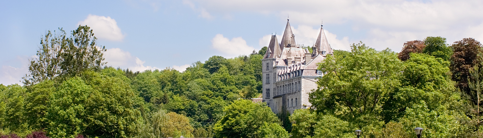 Bedrijven en Organisaties