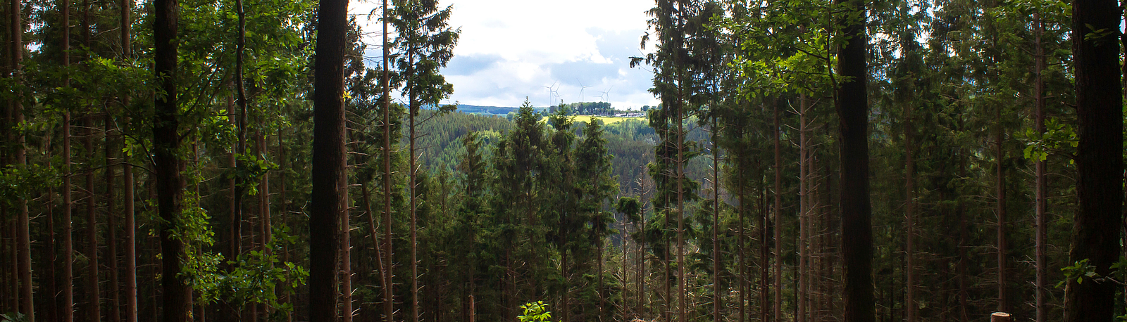 Bedrijven en Organisaties