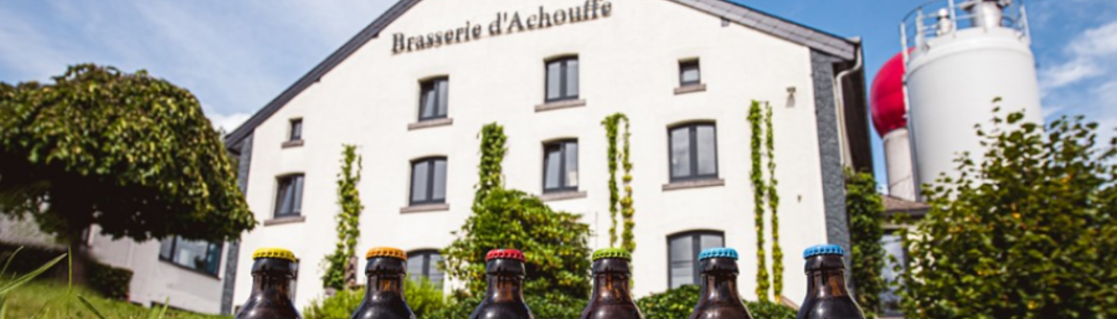 Bedrijven en Organisaties