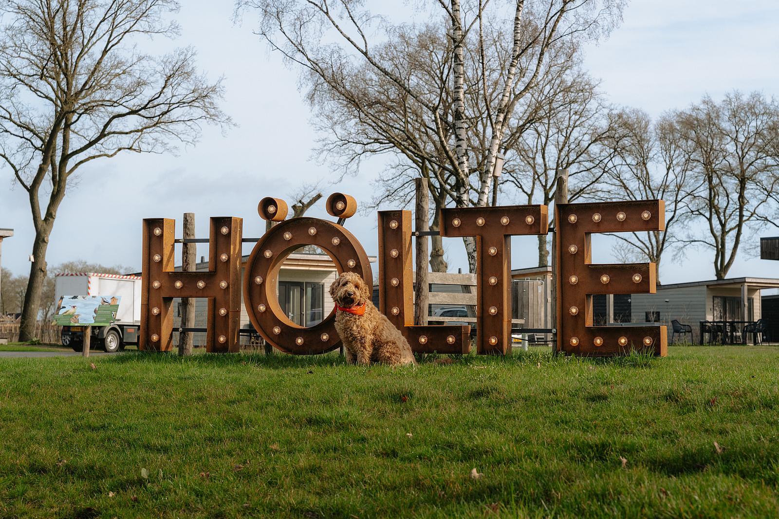 gemoedelijk vakantiepark in twente