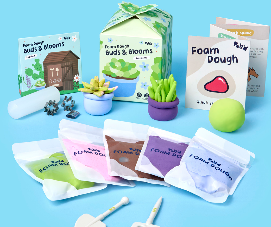 Pott'd Buds and Blooms Succulents Kit