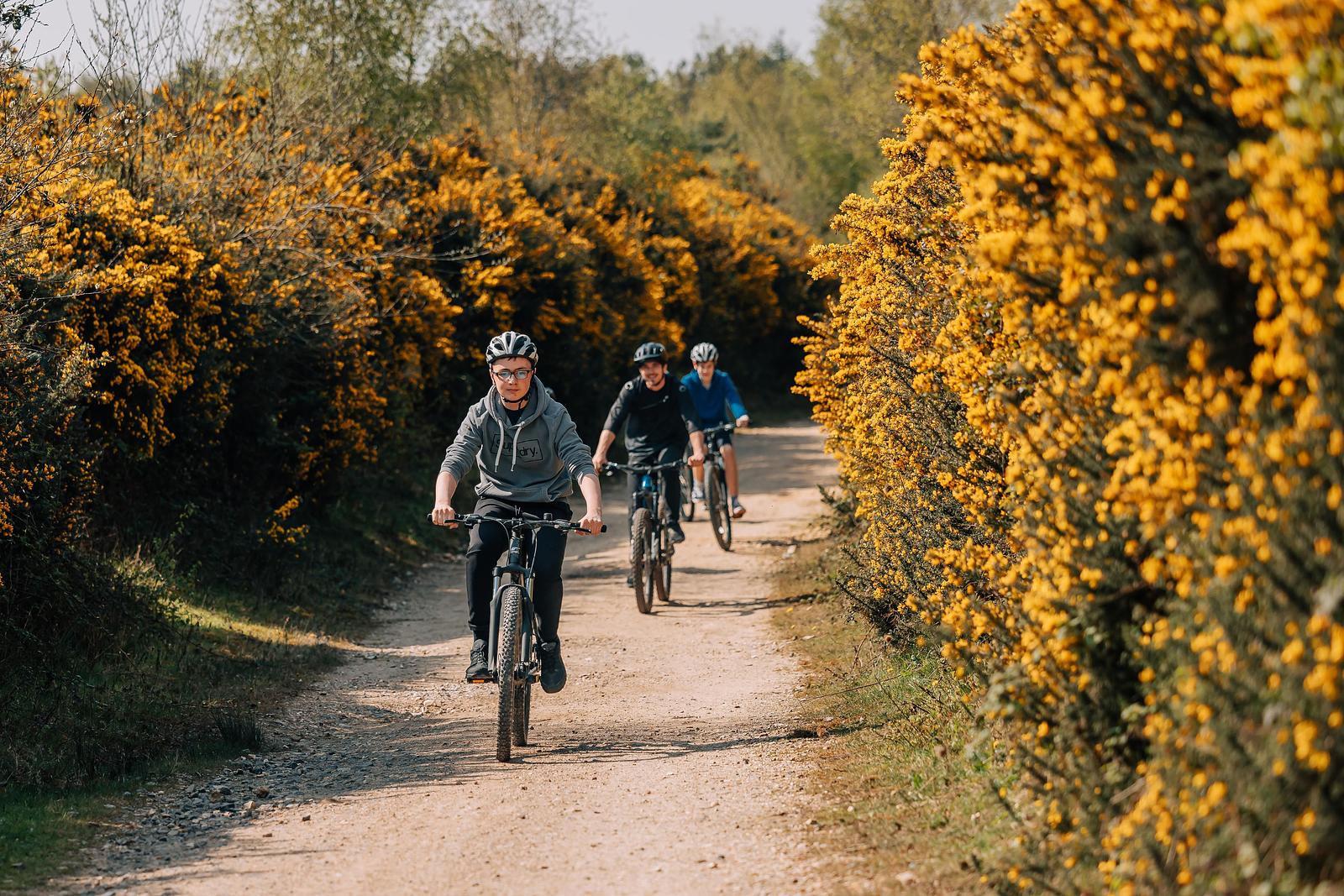 biking in nature