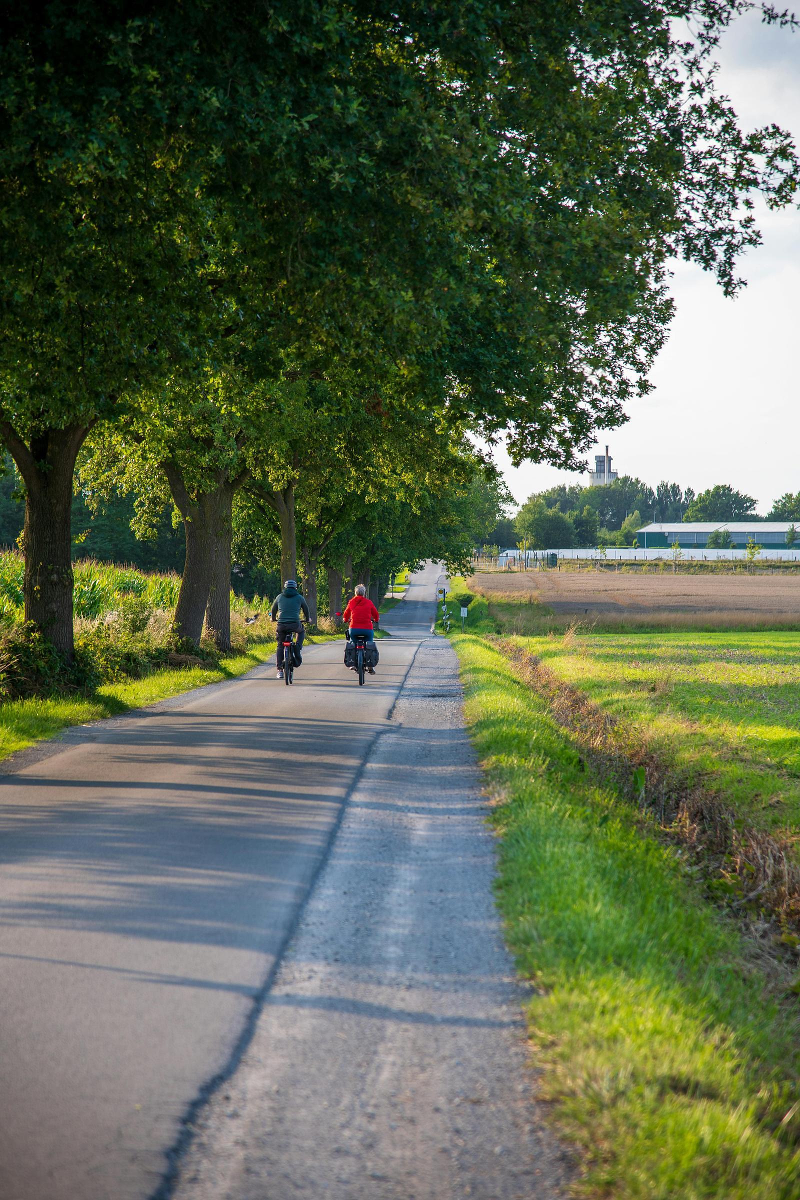 Fietsvakantie Friesland