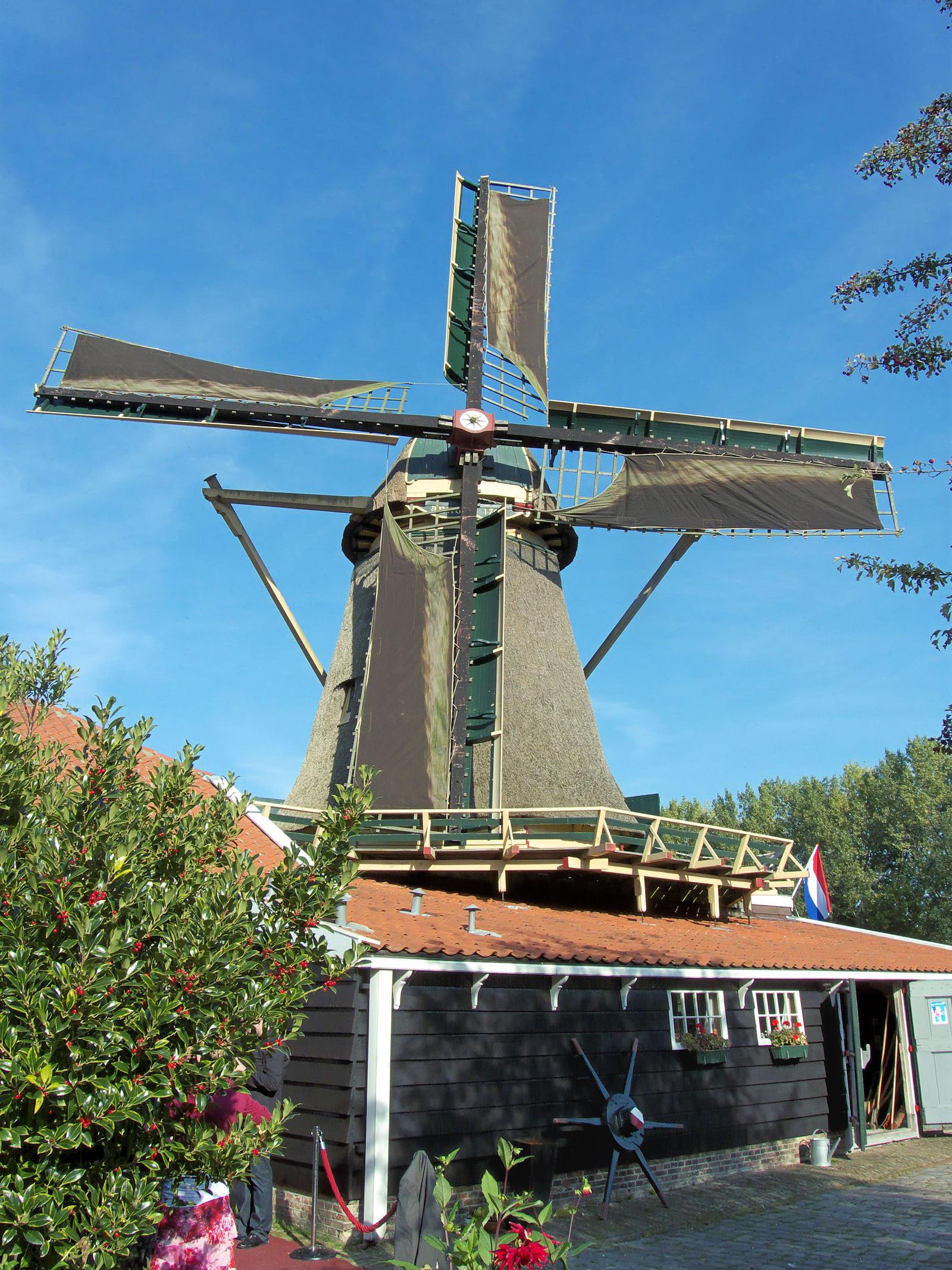 molen