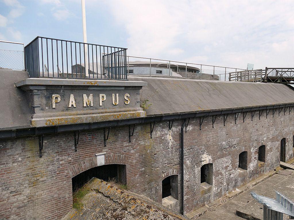 pampus