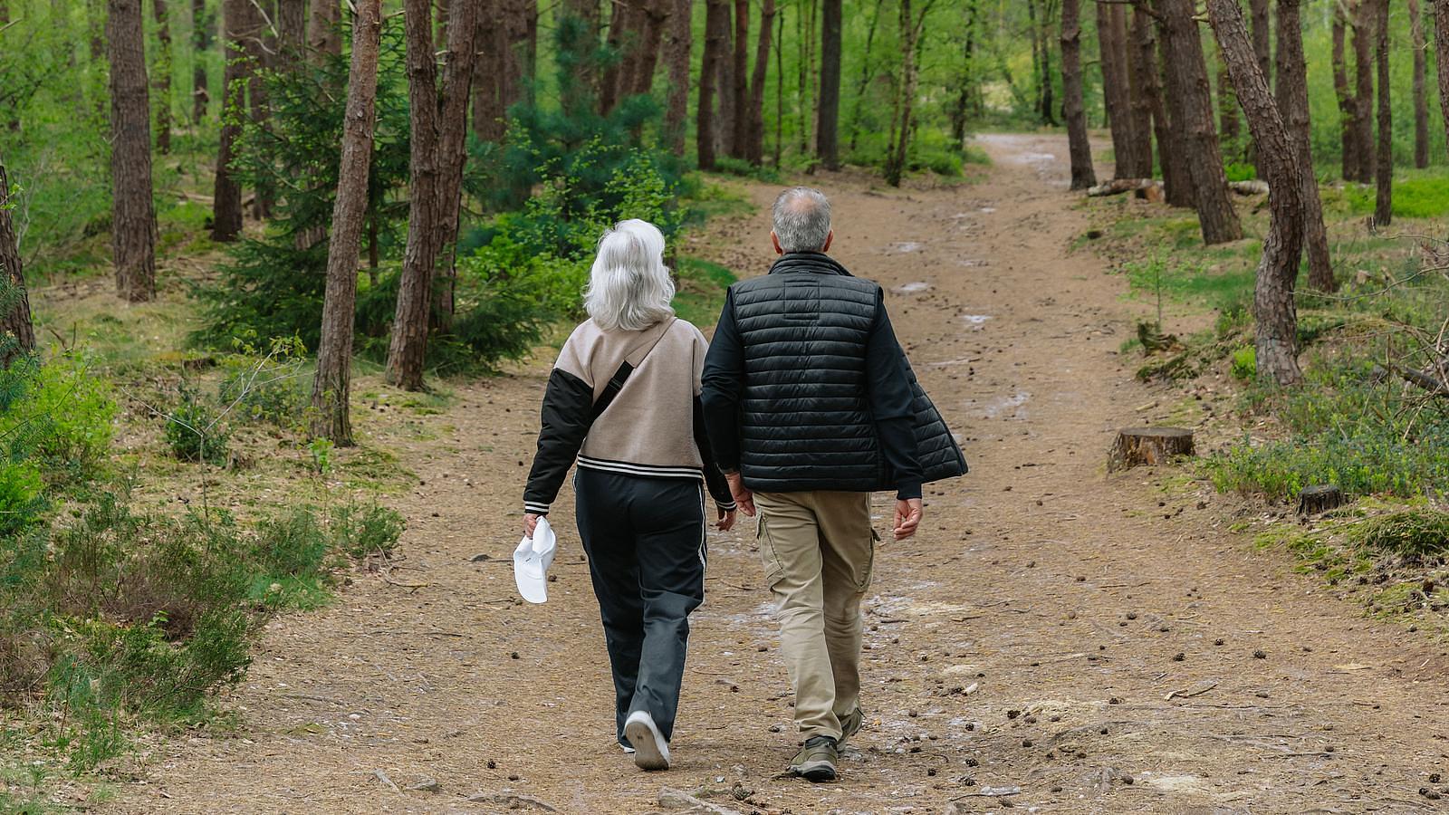 wandelen in twente