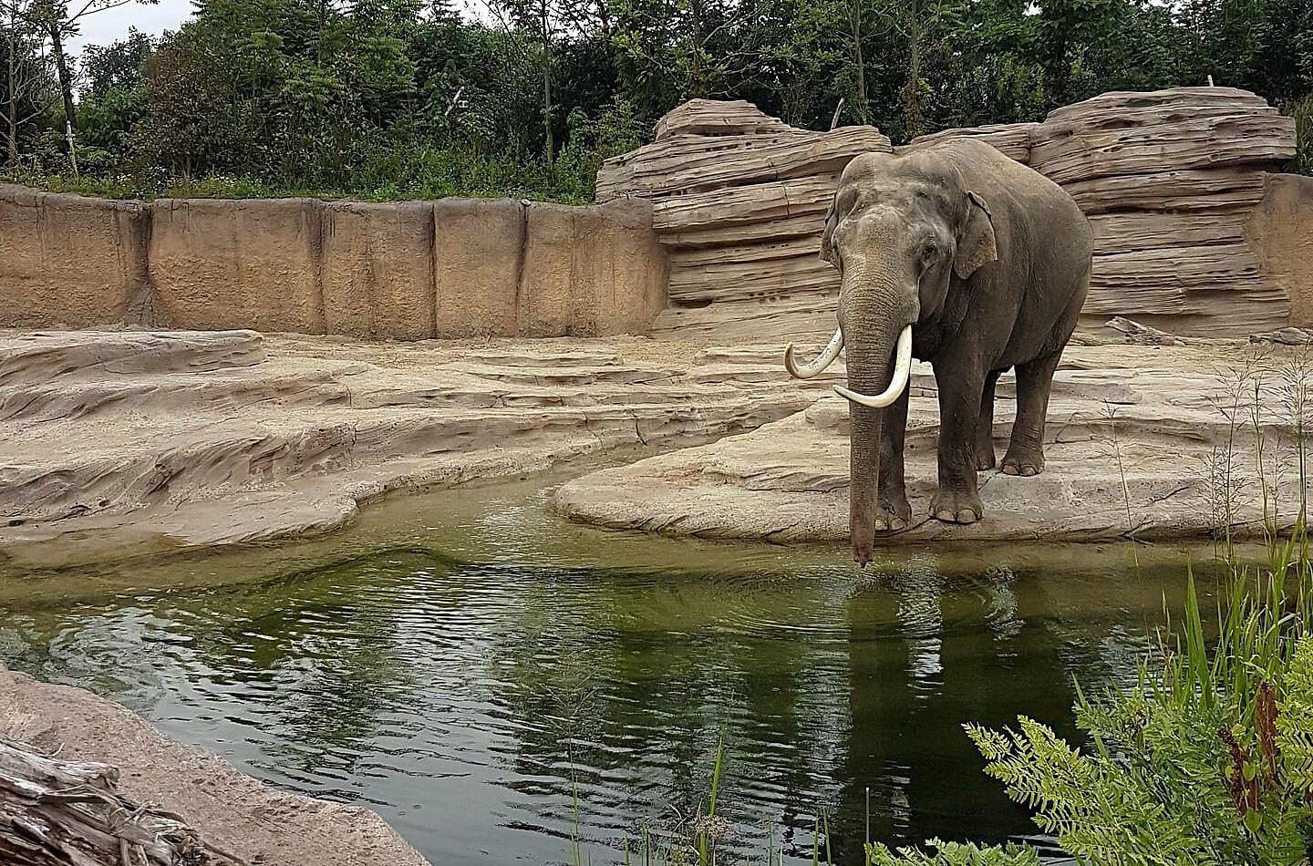 Wildlands adventure zoo