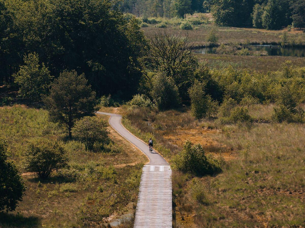 Omgeving