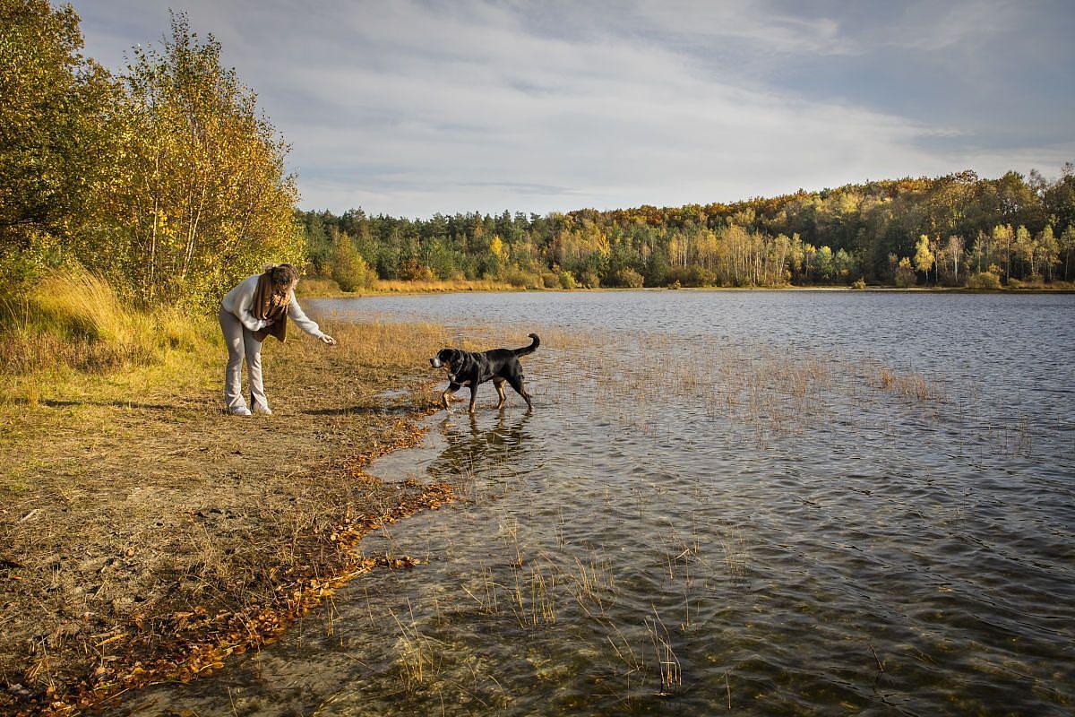 Vakantie Drenthe met hond
