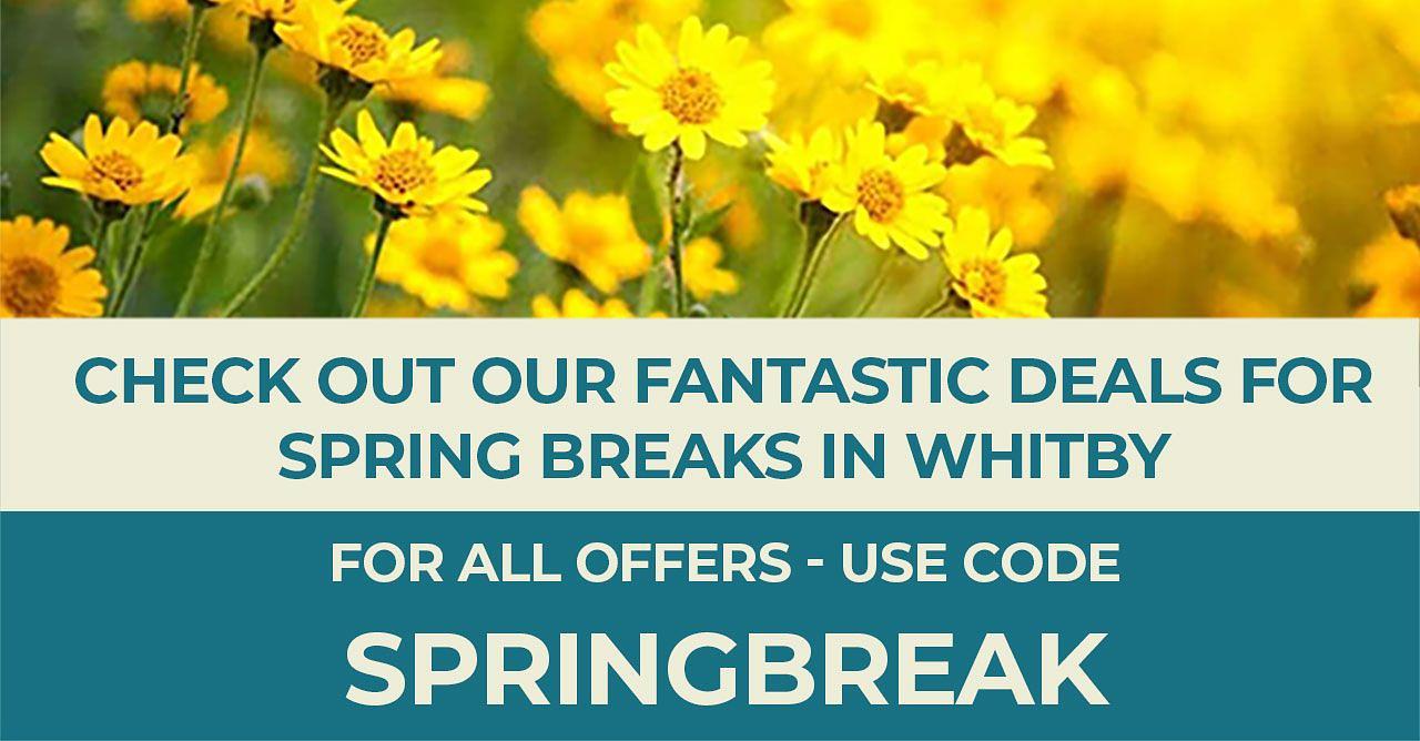 Spring Break Deals - Mobile