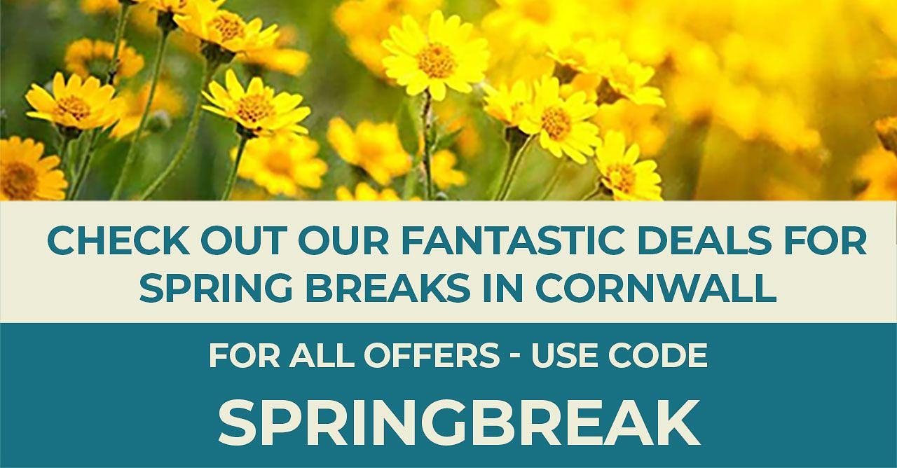 Spring Break Offers - Mobile