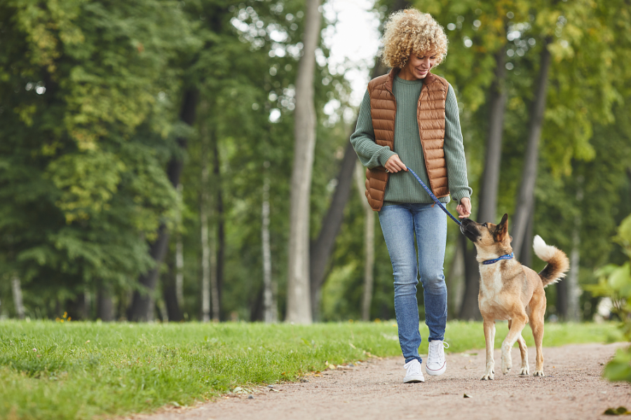 Wandelen met hond