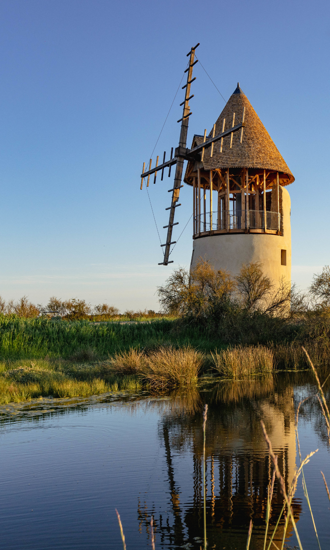 Omgeving