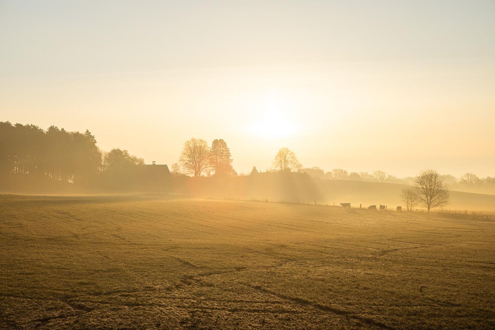 Omgeving | Wilsumer Berge