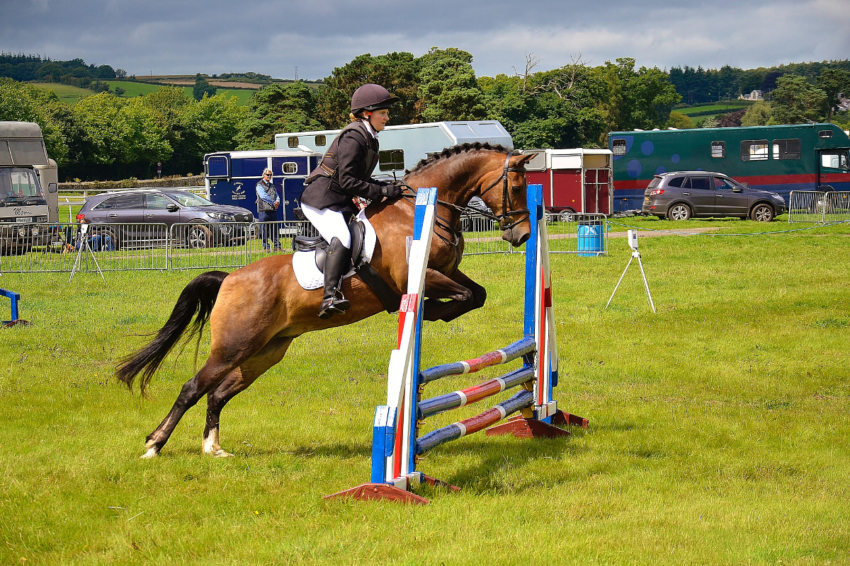 horse jumping