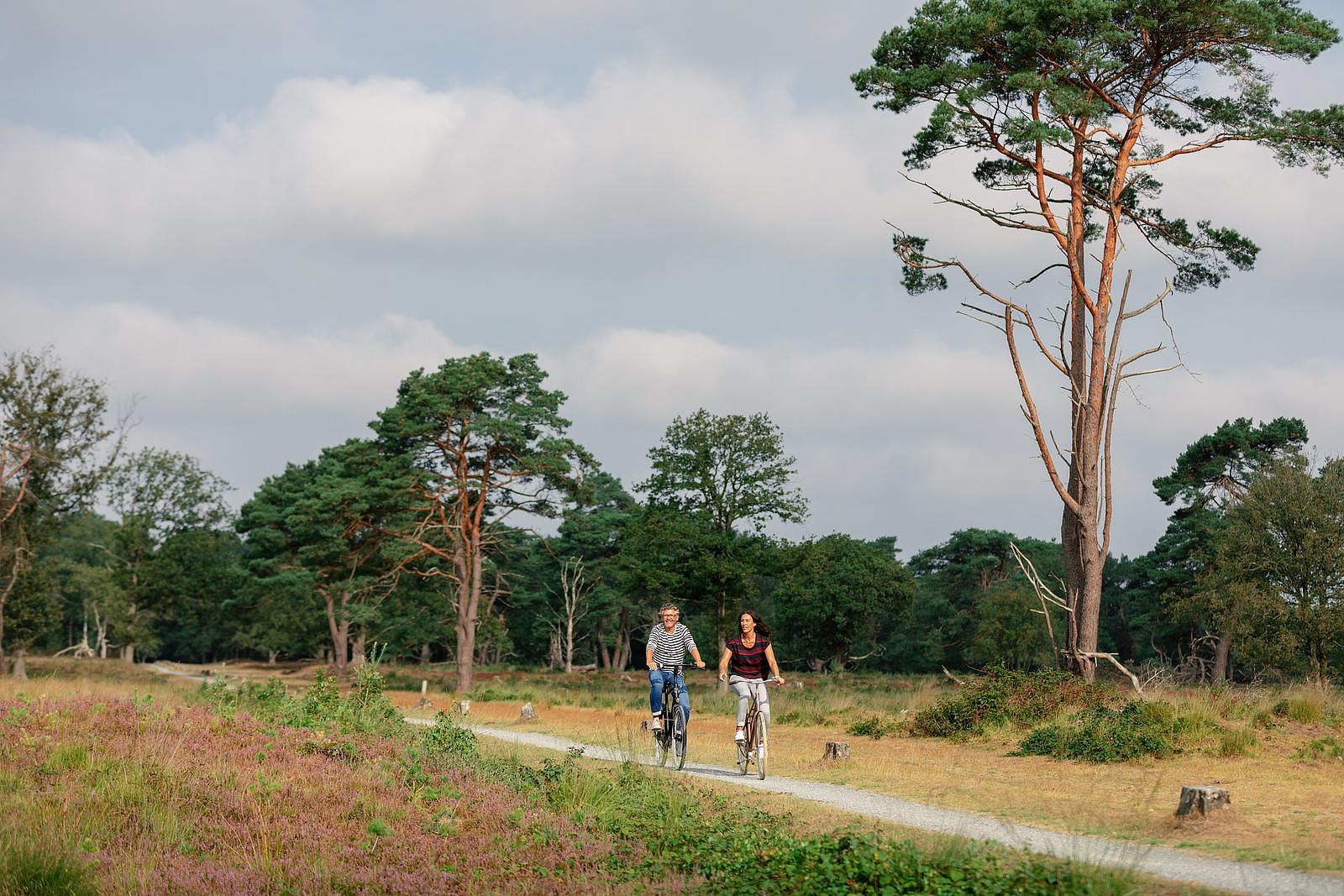 50 plus camping Drenthe