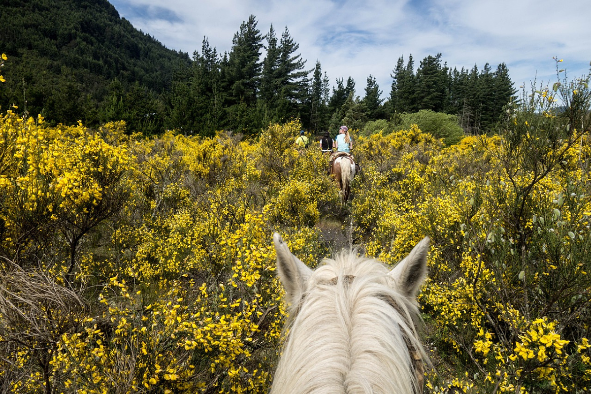 horse riding