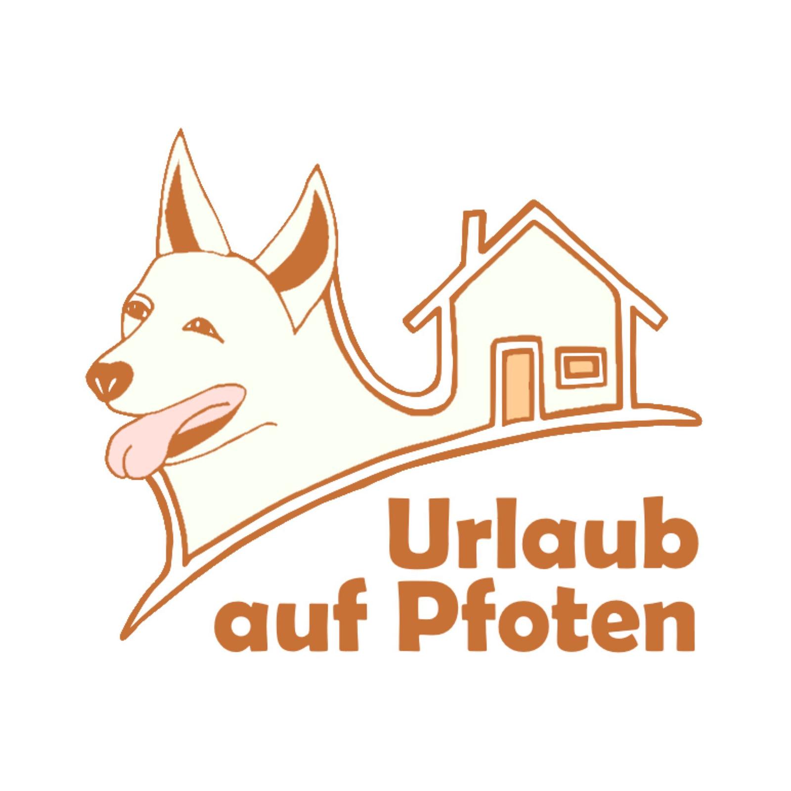 Honden op vakantie in Noord Holland
