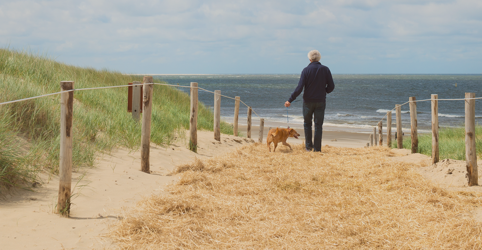 Met de hond naar Callantsoog