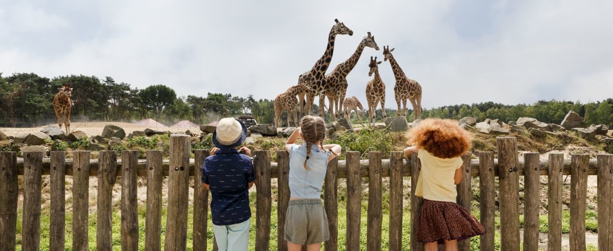 Overnachten bij de Beekse Bergen