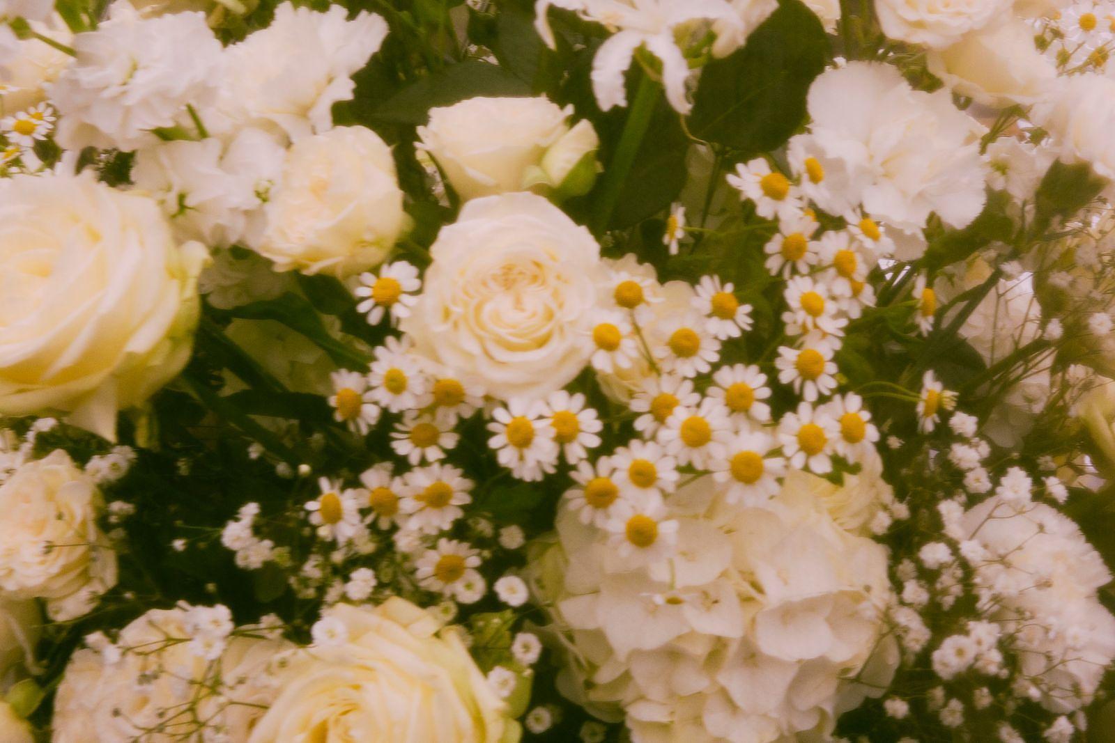 Ein kleines, grünes Hochzeitsparadies in Friesland