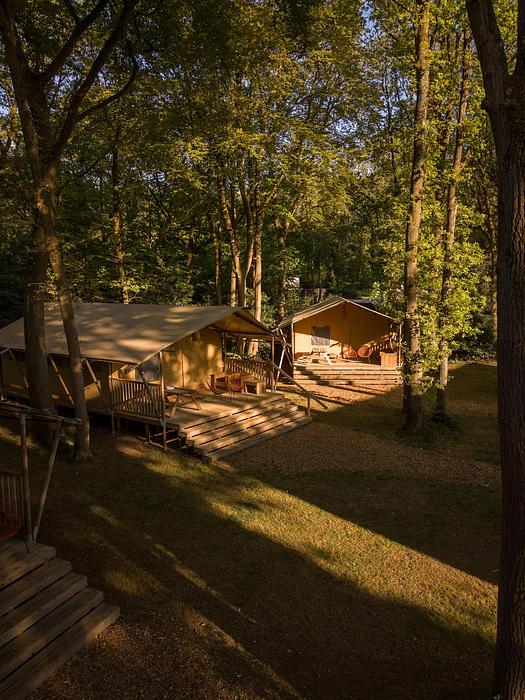 Gooise Heide in Huizen — foto 2