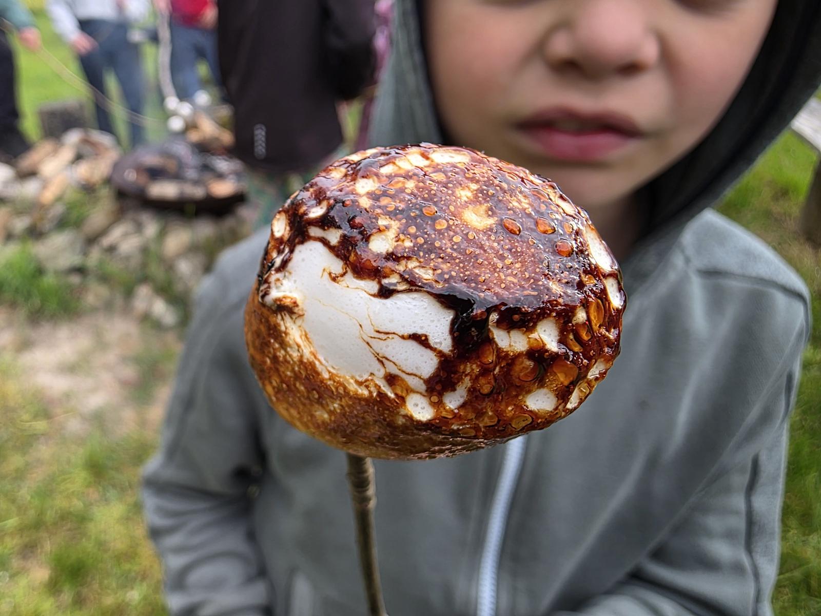 marshmallows roosteren