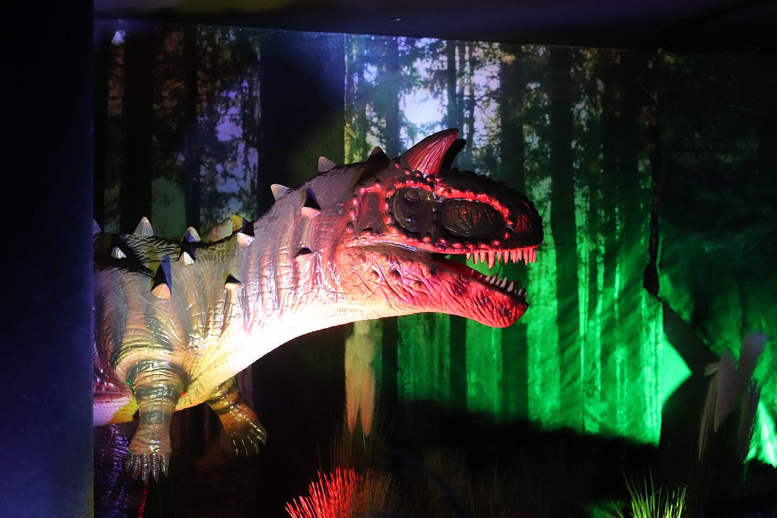 world of dino's