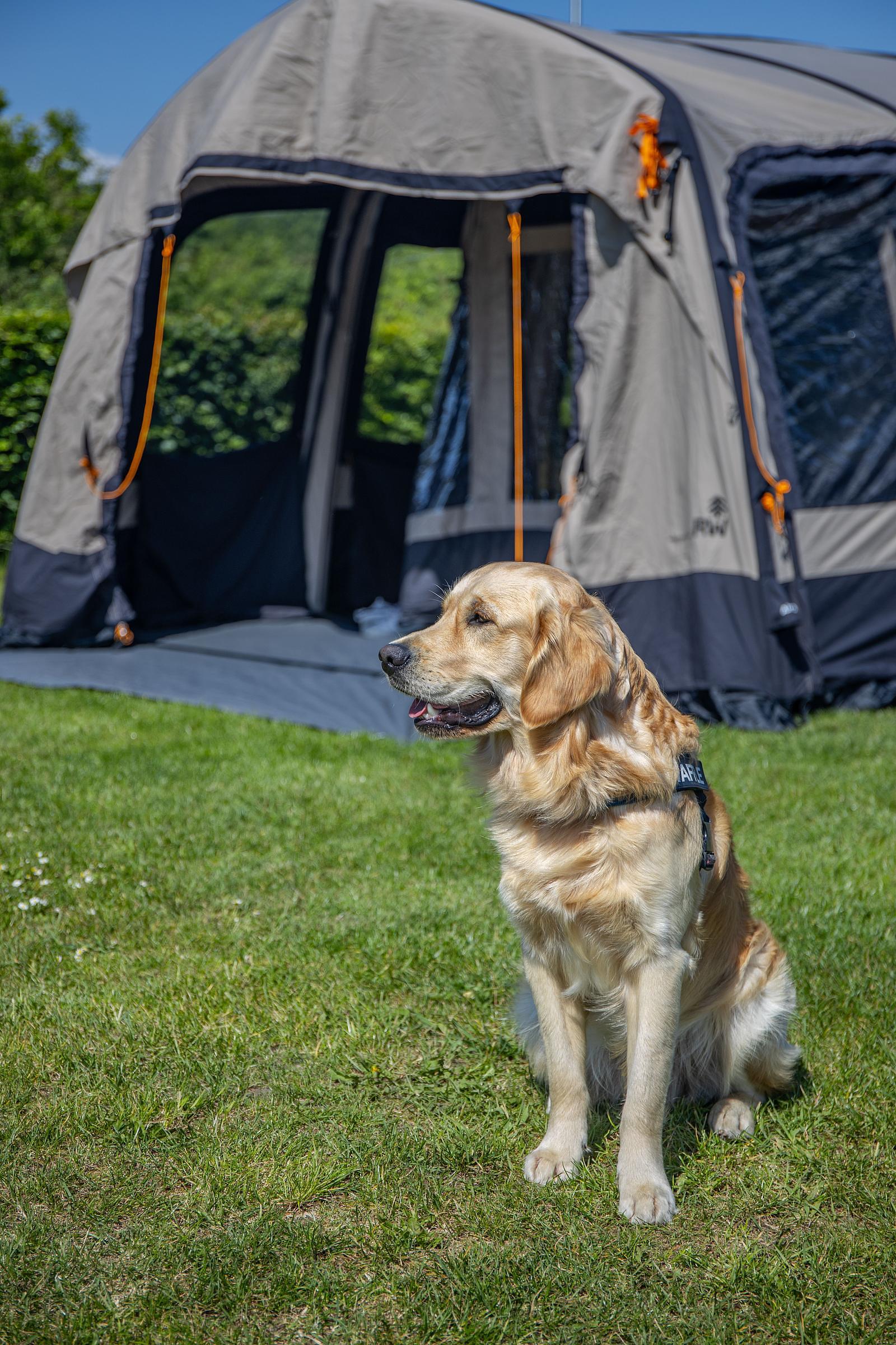 Vakantiepark met hond