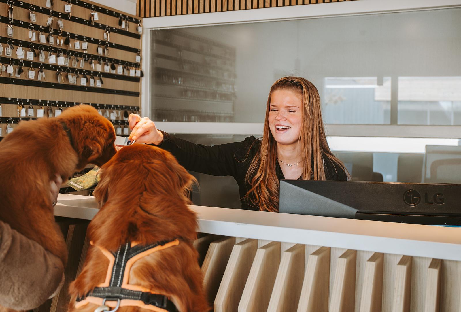 Vacature Front Office medewerker
