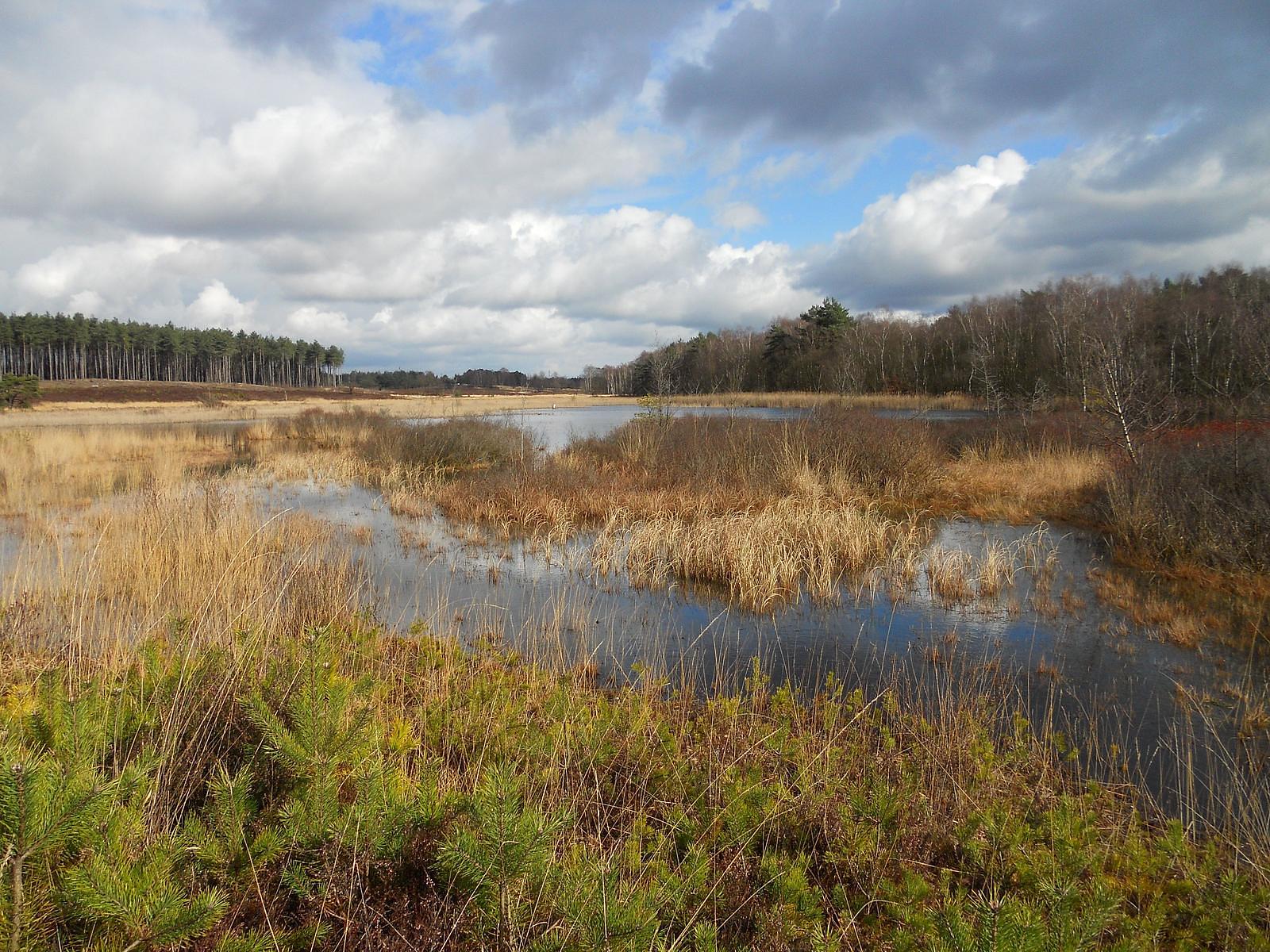 De Yerseke Moer 