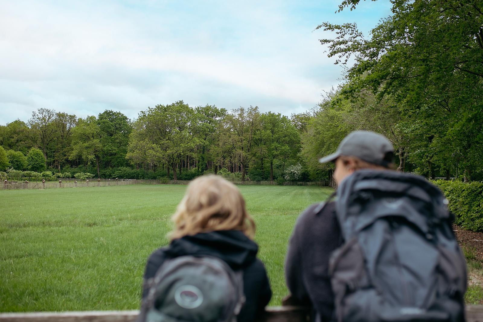 Veluwe Bird Weeks