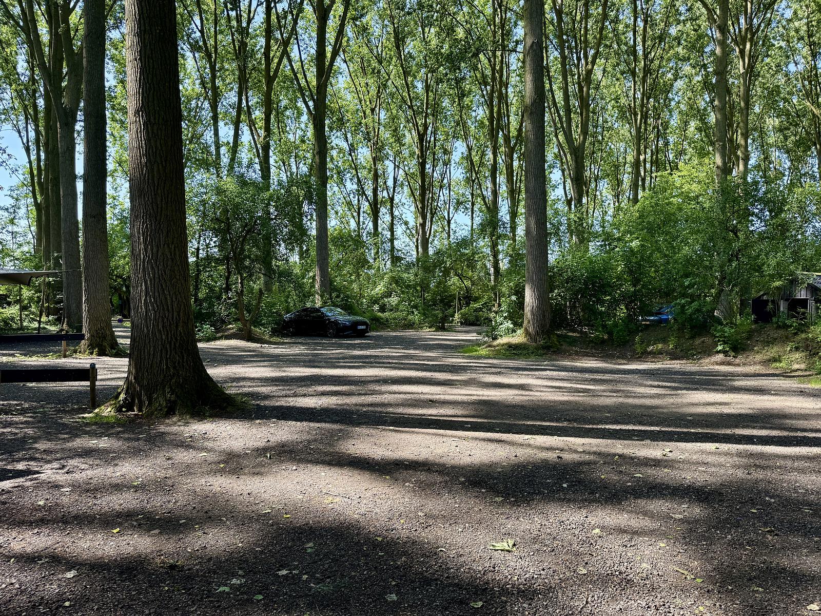 Parkeren bij het Ruysbos