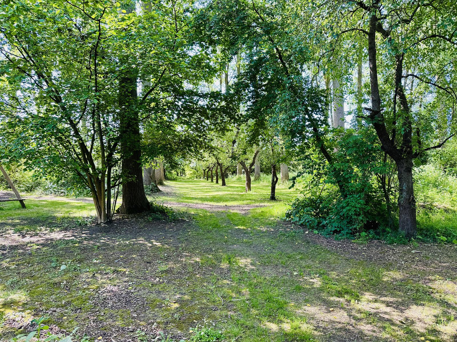 Bruidslaan Ruysbos