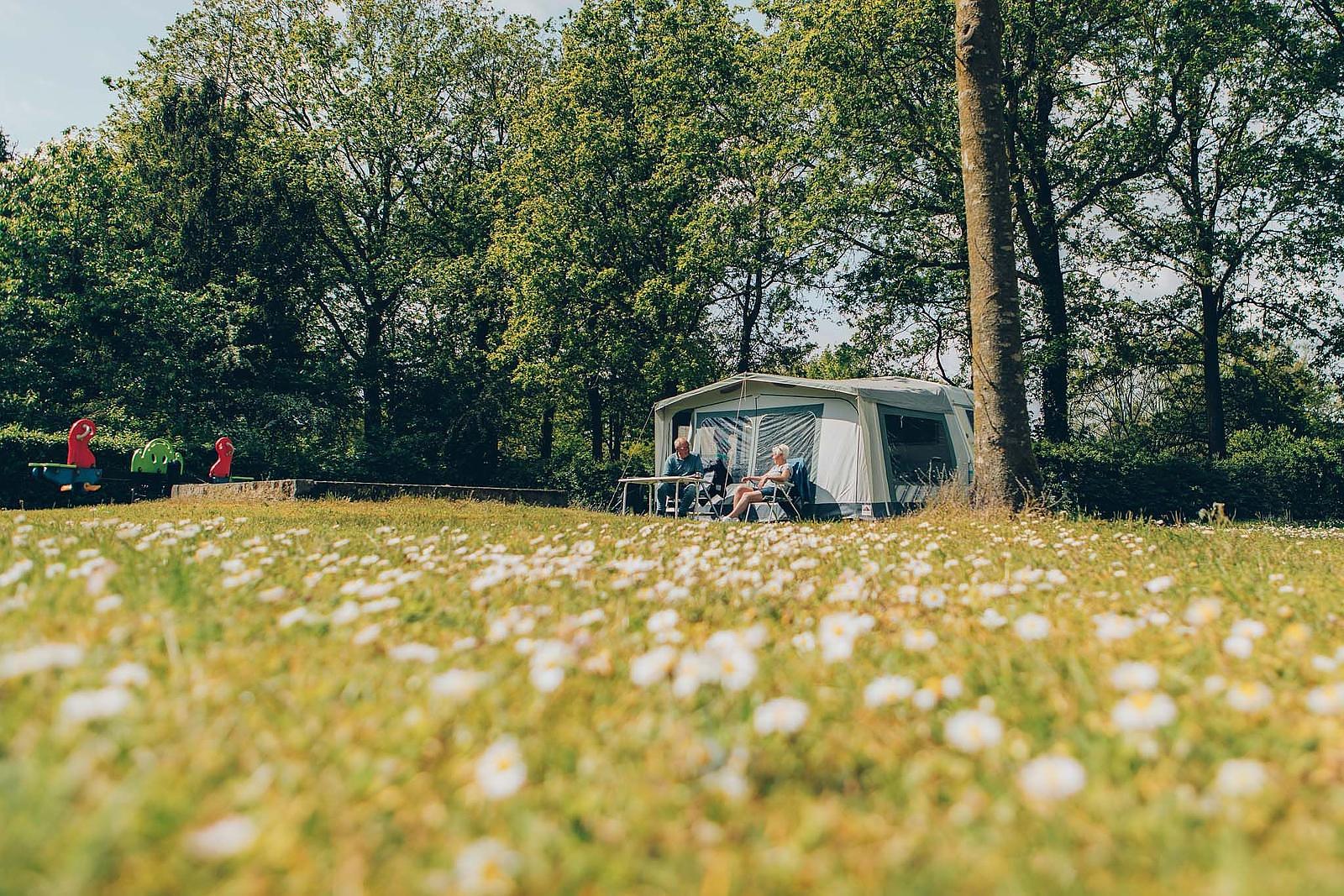 Camping Grolloo Drenthe