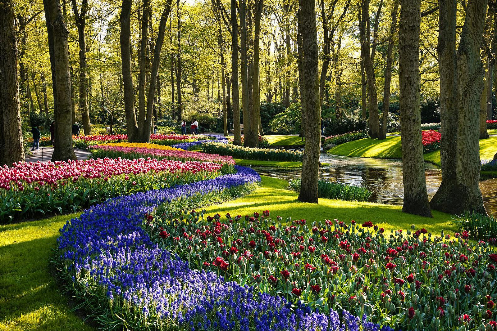 Keukenhof