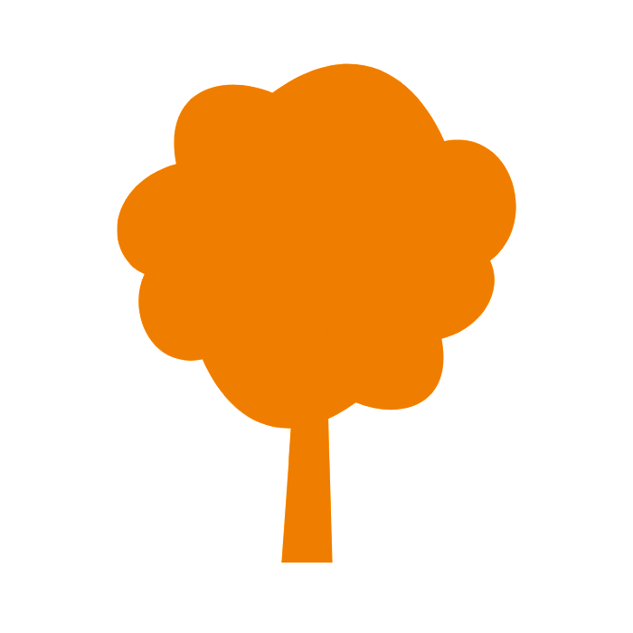 Baum