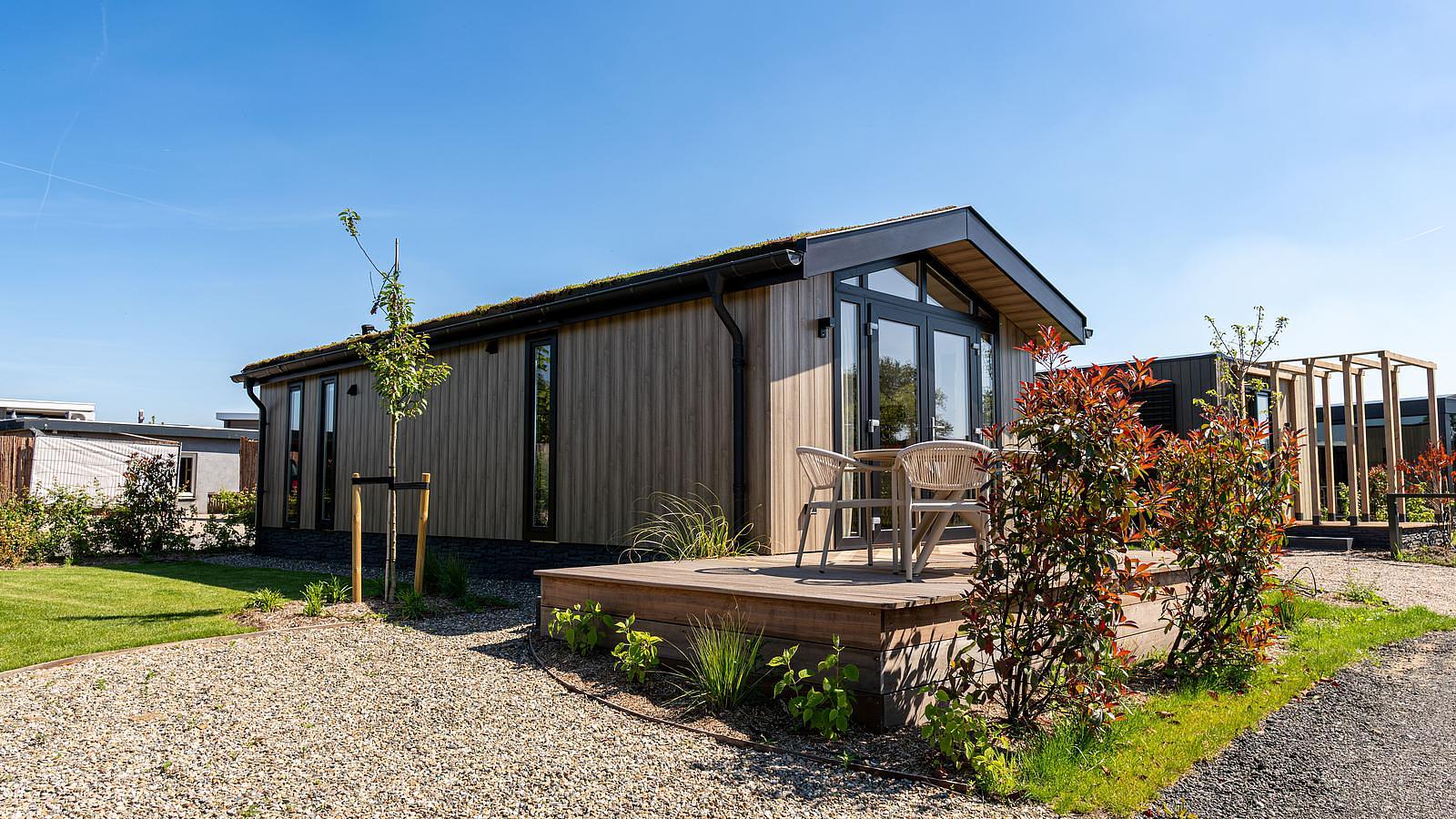 Sedum lodge