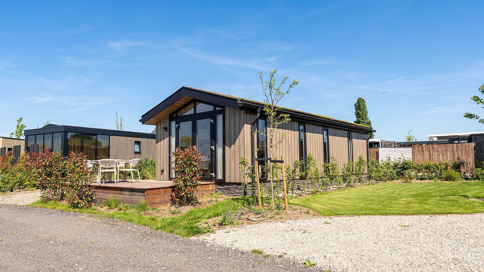 Sedum lodge