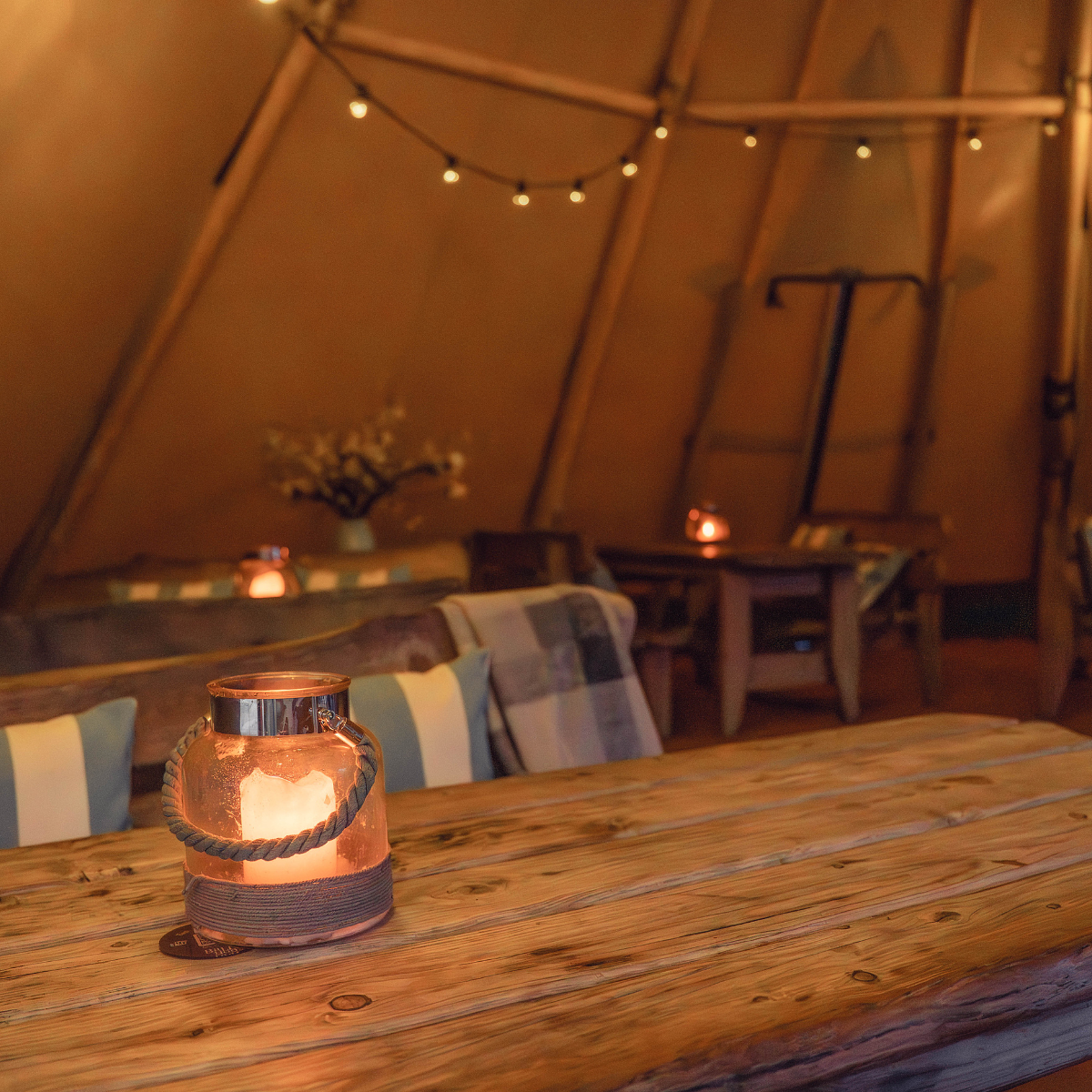 The Snug