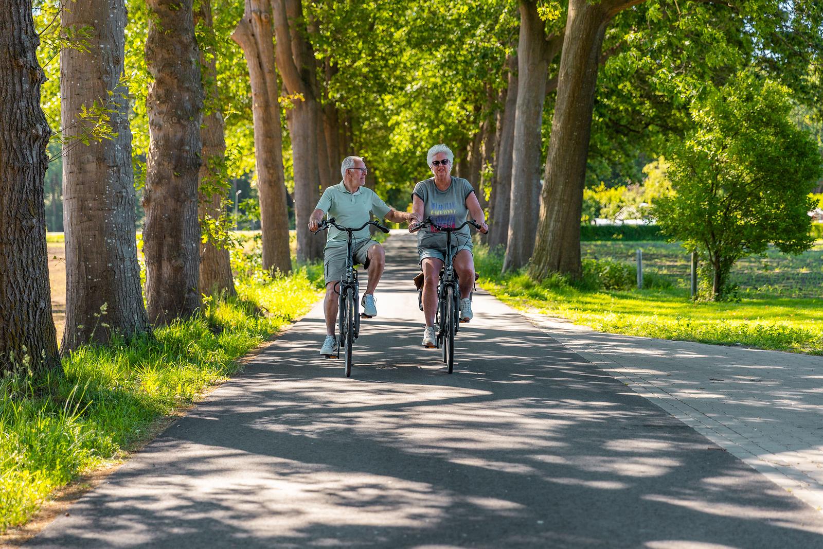 Fahrradverleih